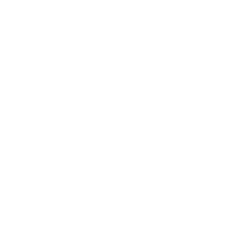 Lions logo