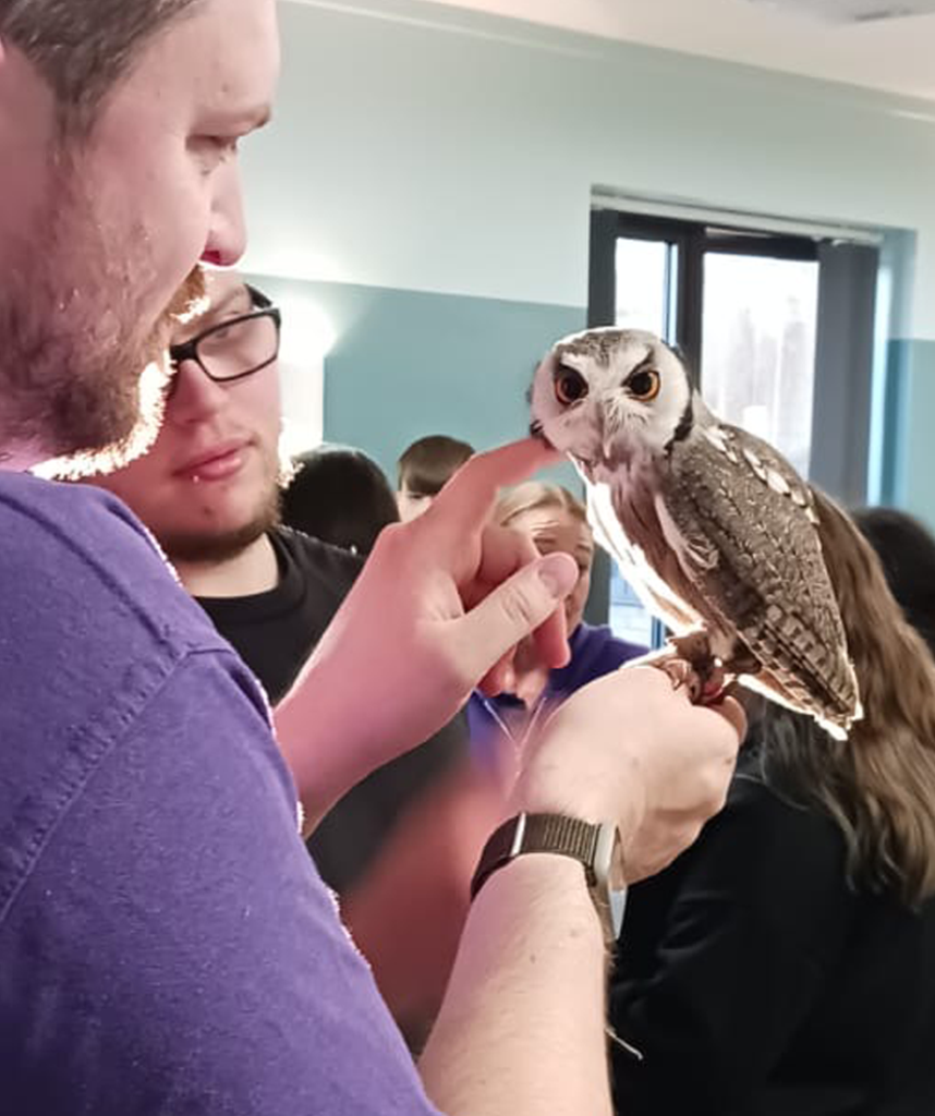 animal man owl