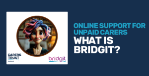 What is Bridgit?